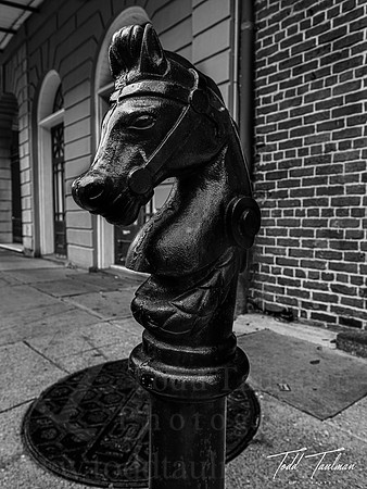 IMG_1937