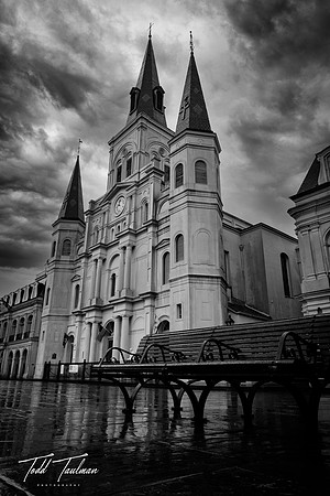 IMG_1764_l_bw
